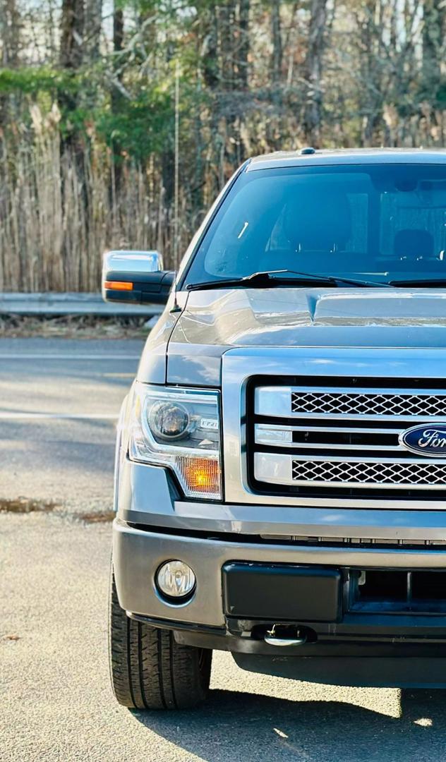 2014 Ford F-150 Platinum photo 9