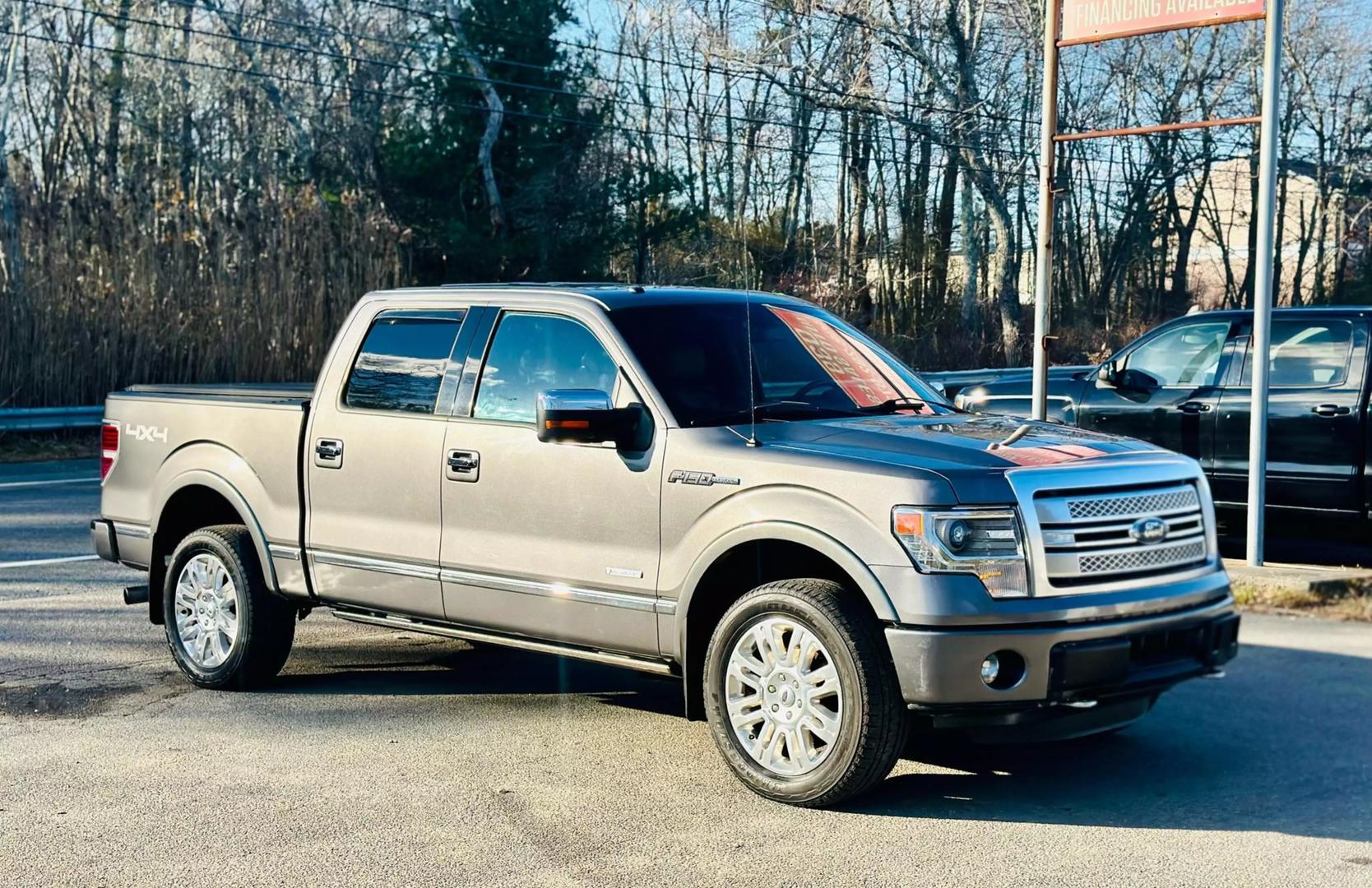 2014 Ford F-150 Platinum photo 4