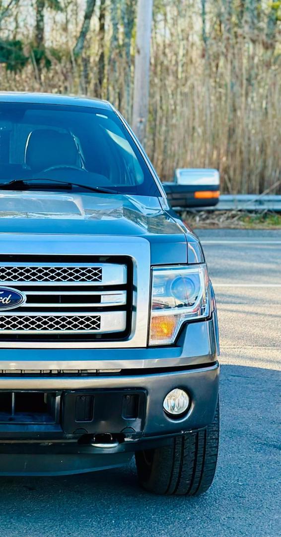 2014 Ford F-150 Platinum photo 10