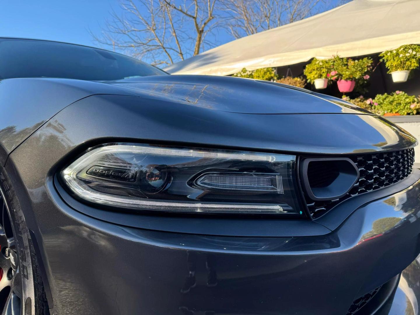 2019 Dodge Charger R/T photo 3