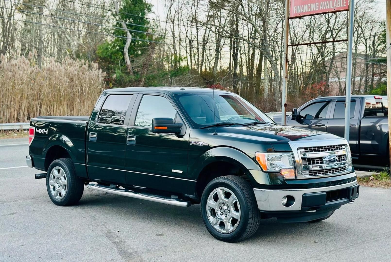 2014 Ford F-150 XL photo 7