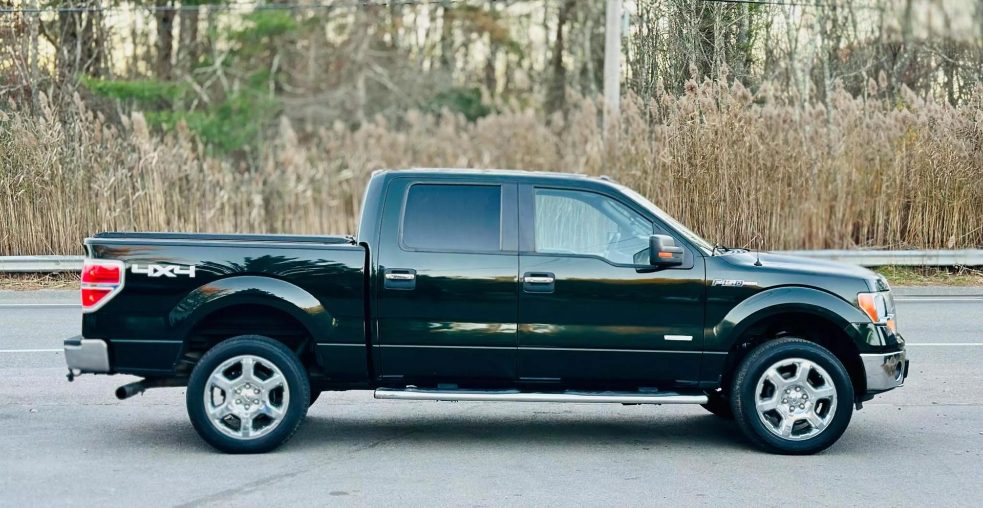 2014 Ford F-150 XL photo 11