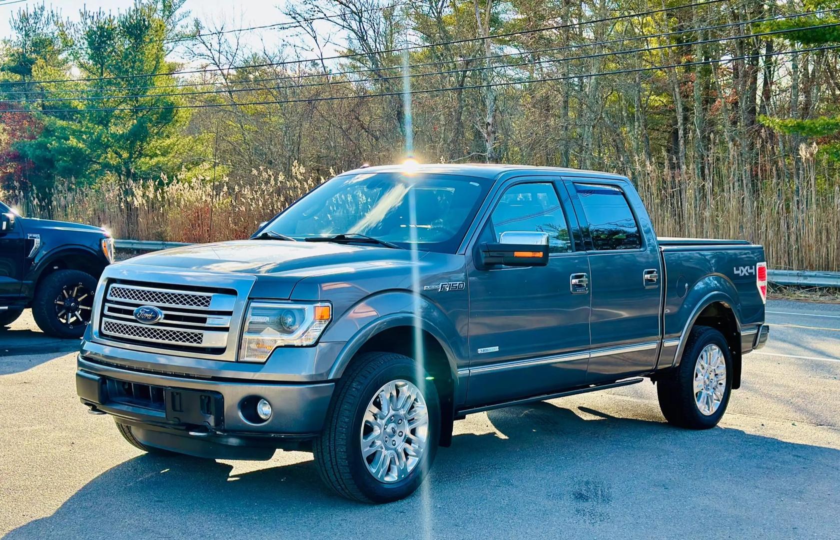 2014 Ford F-150 Platinum photo 5