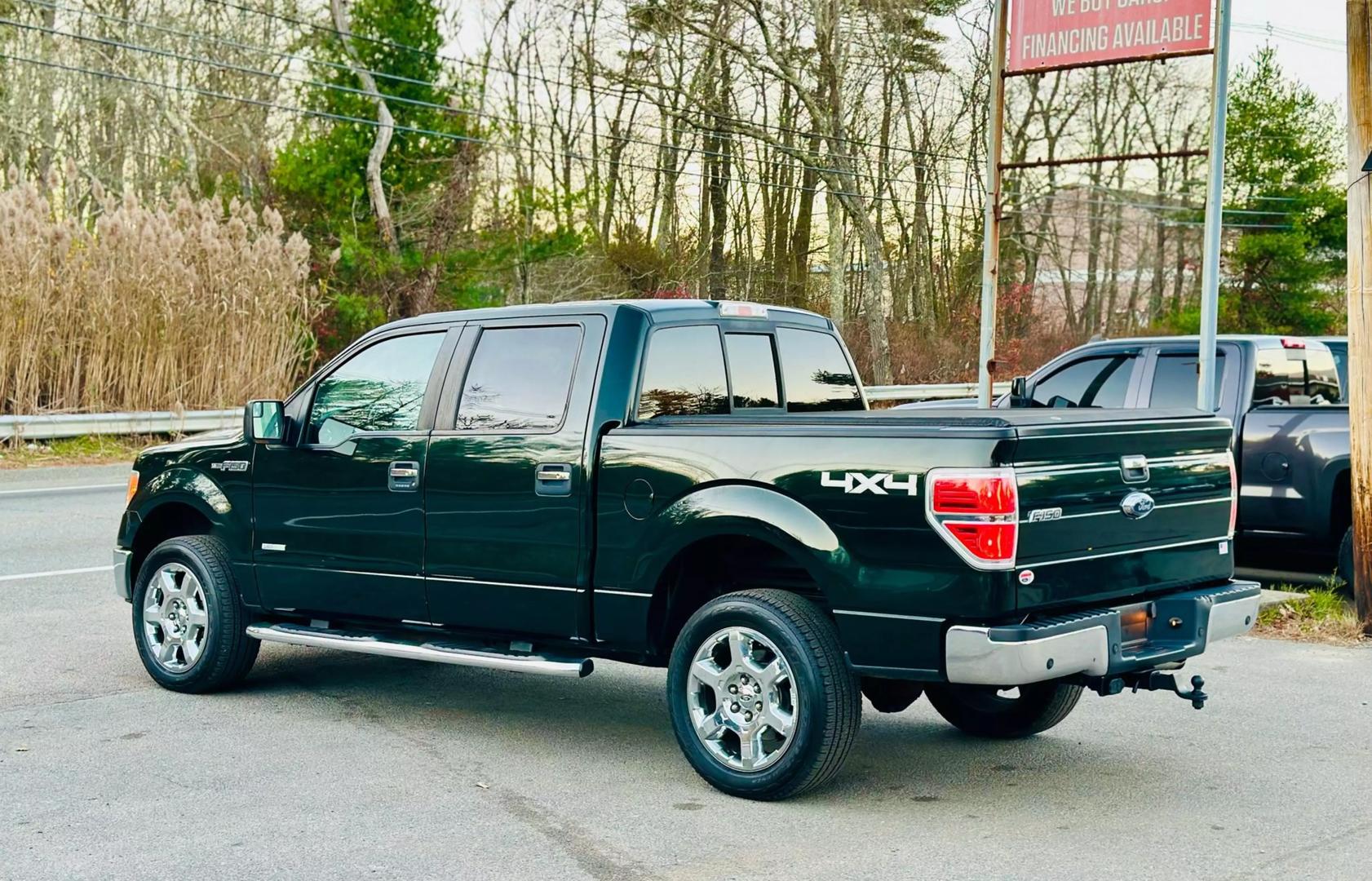 2014 Ford F-150 XL photo 14