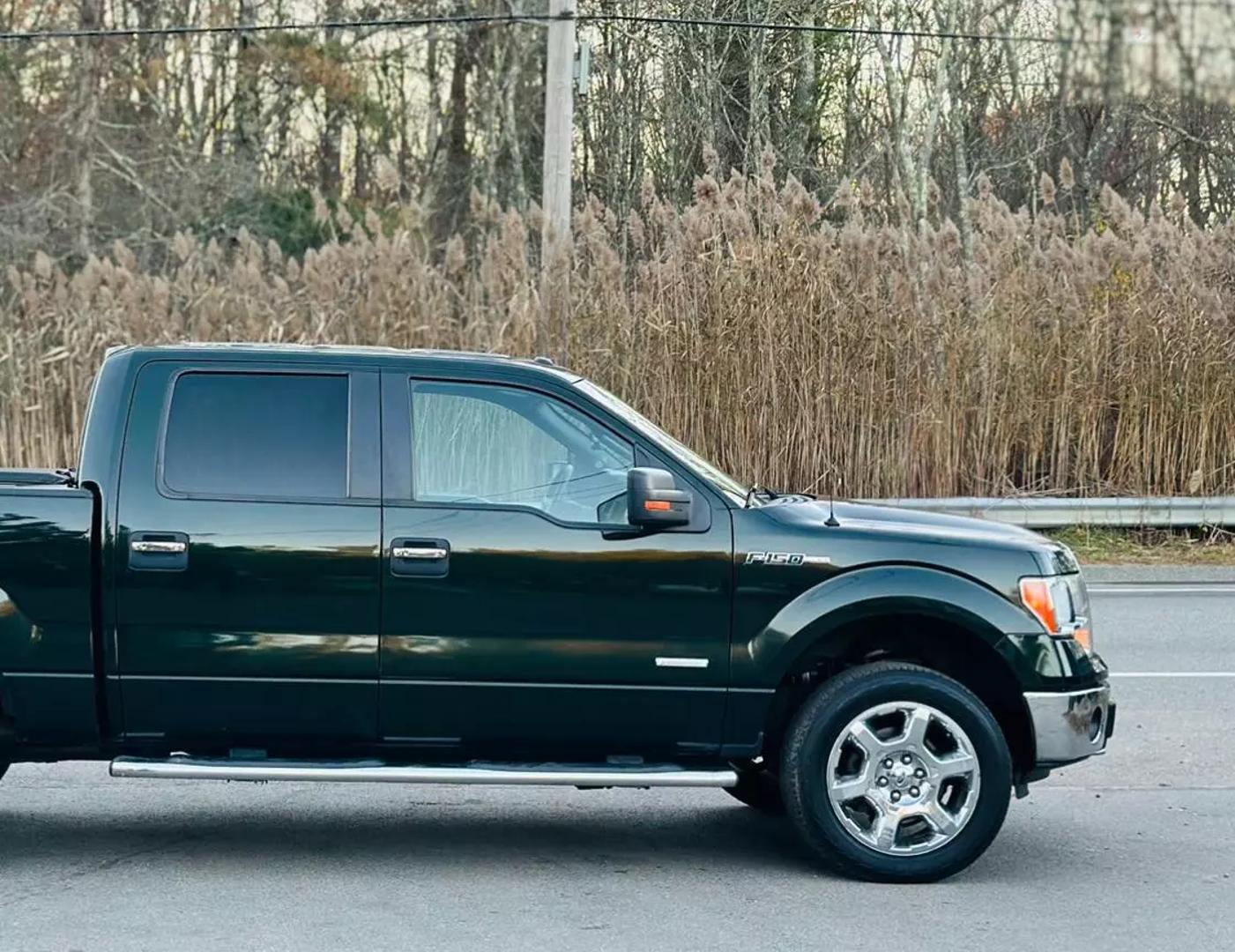 2014 Ford F-150 XL photo 12