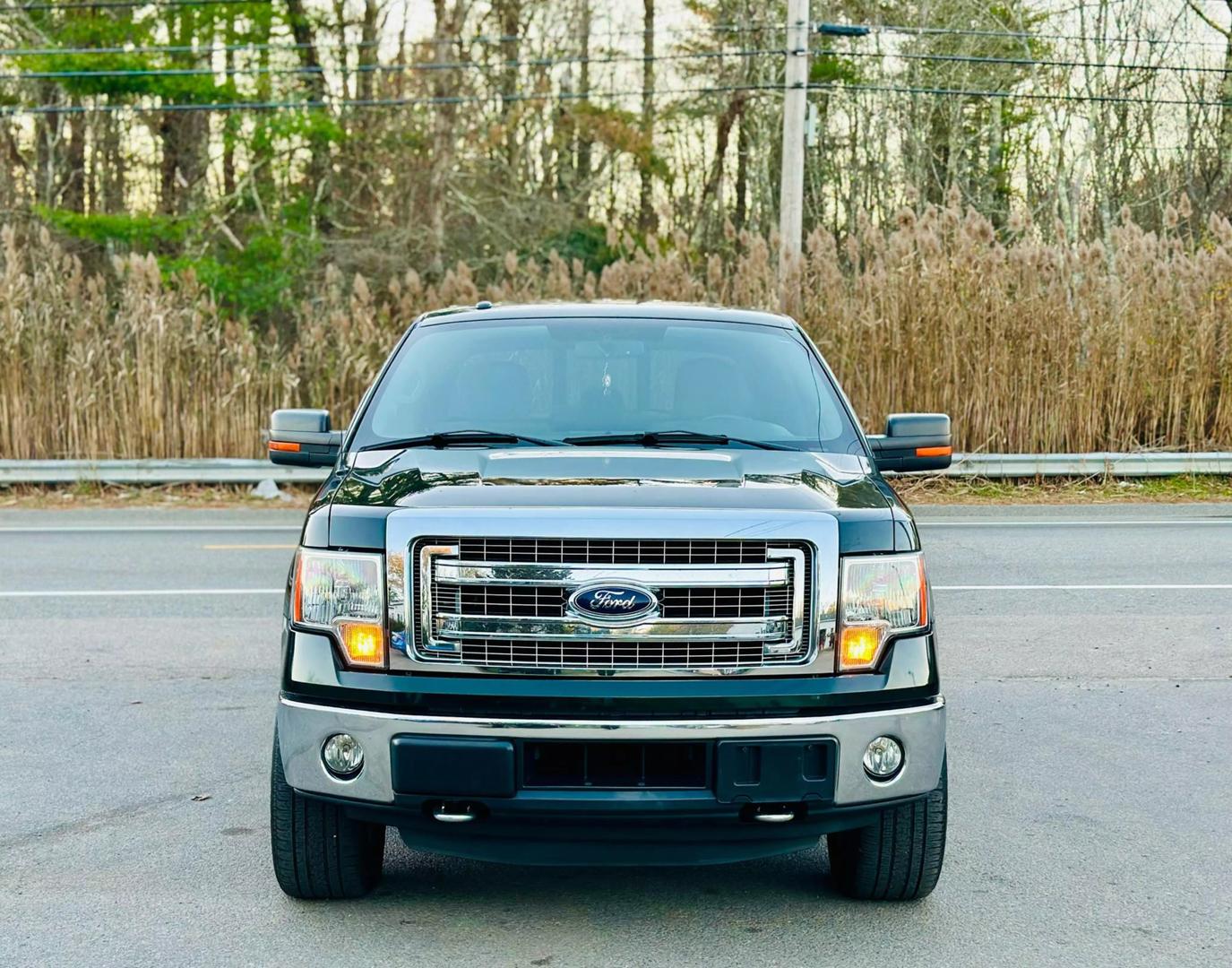 2014 Ford F-150 XL photo 2