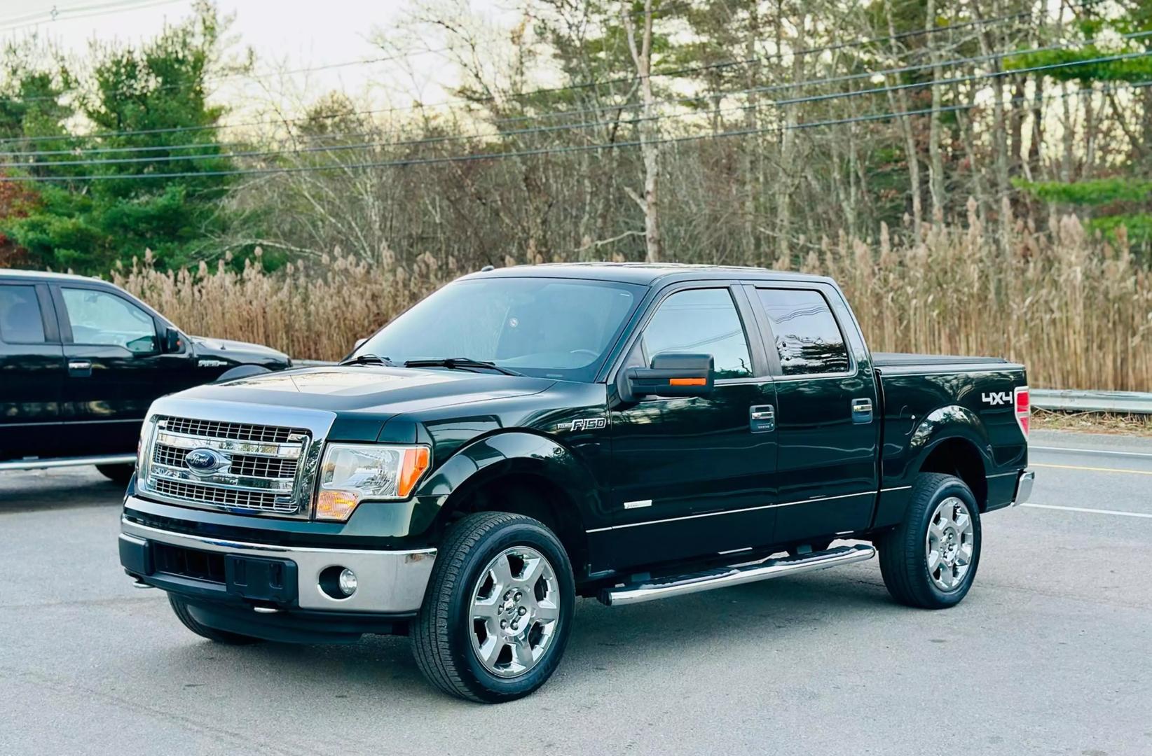 2014 Ford F-150 XL photo 6