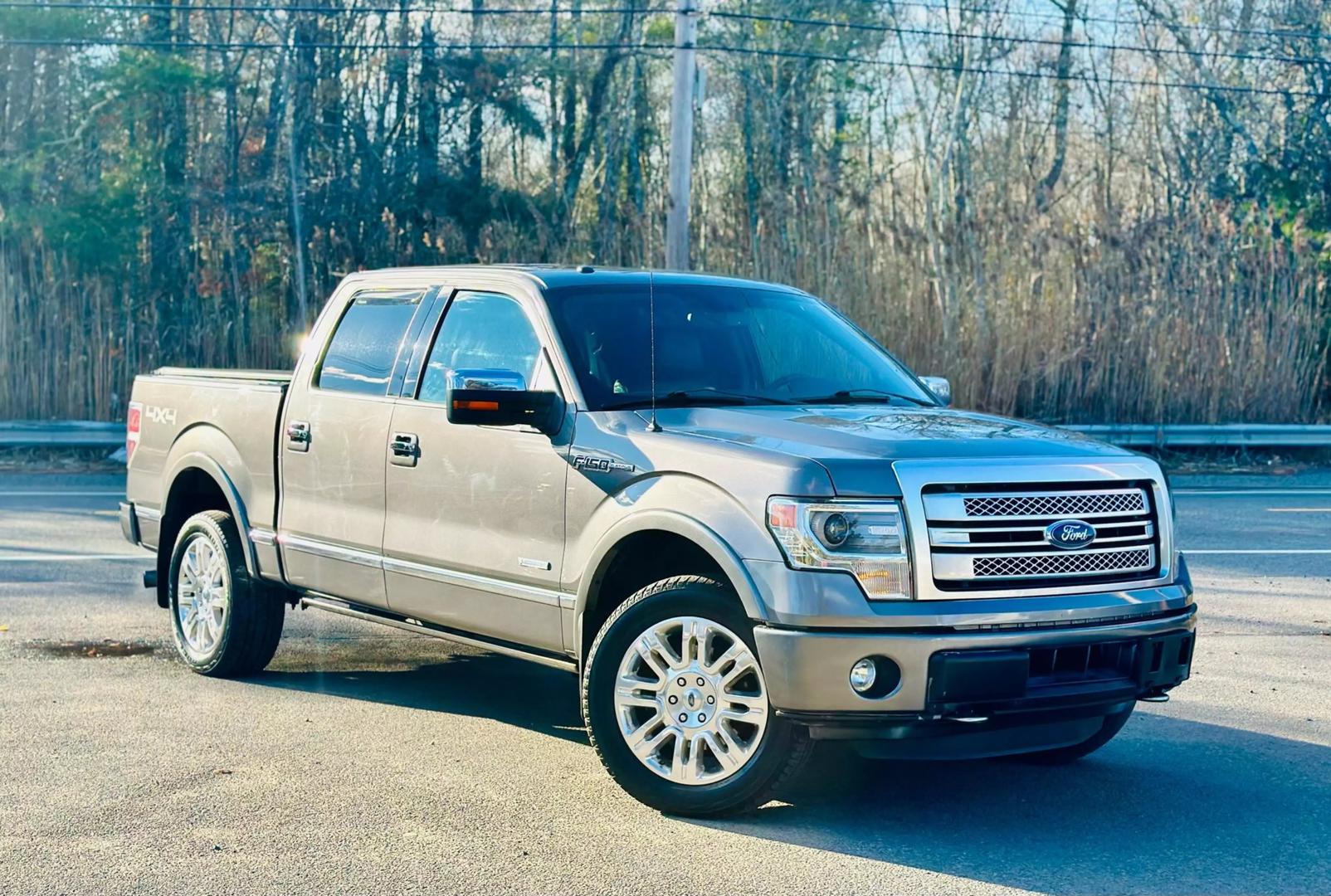 2014 Ford F-150 Platinum photo 3