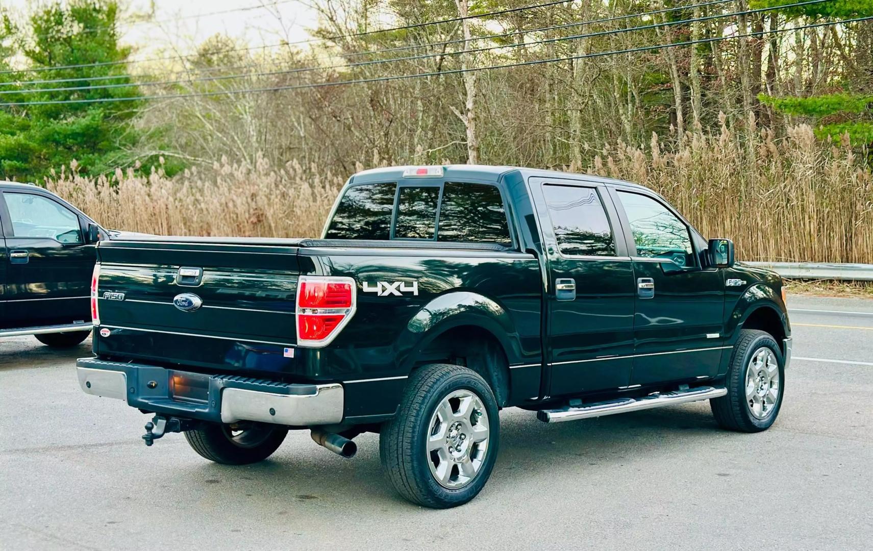 2014 Ford F-150 XL photo 15