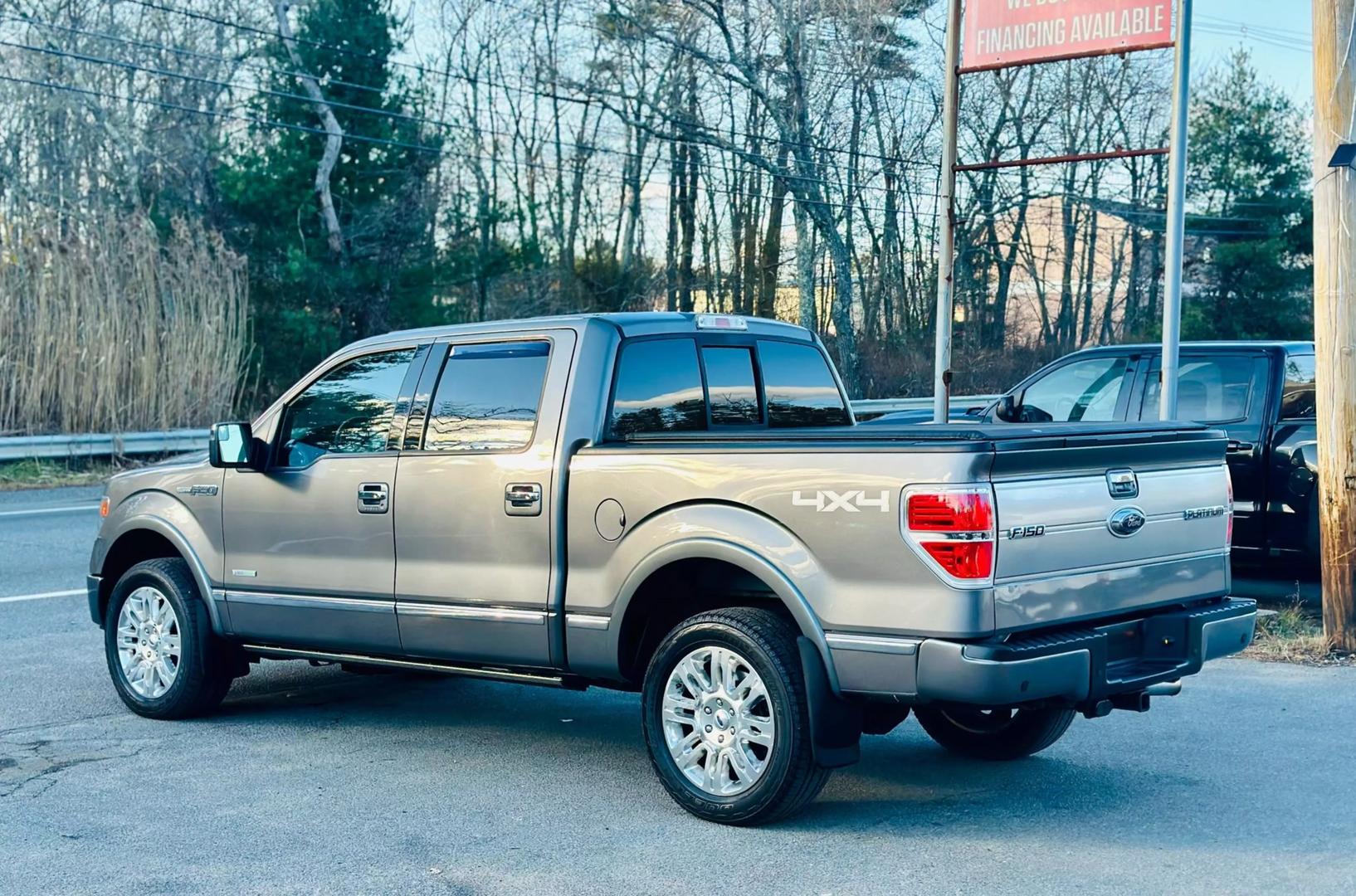 2014 Ford F-150 Platinum photo 17