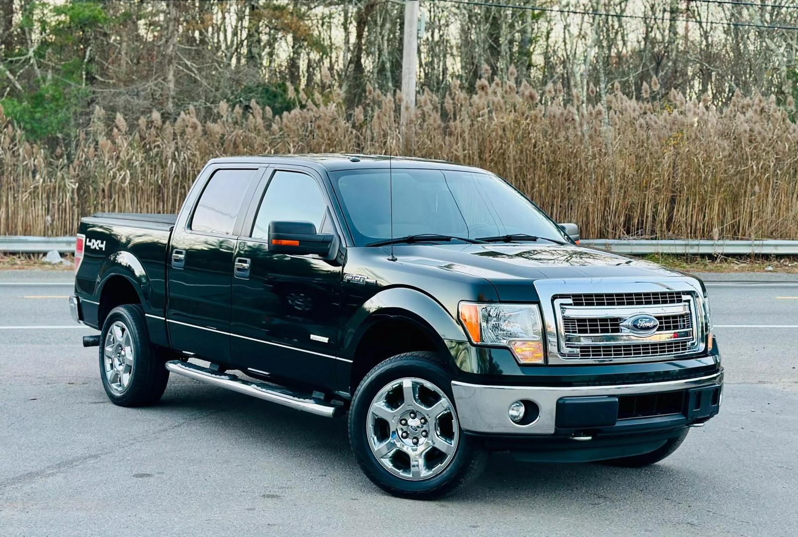 2014 Ford F-150 XL photo 3