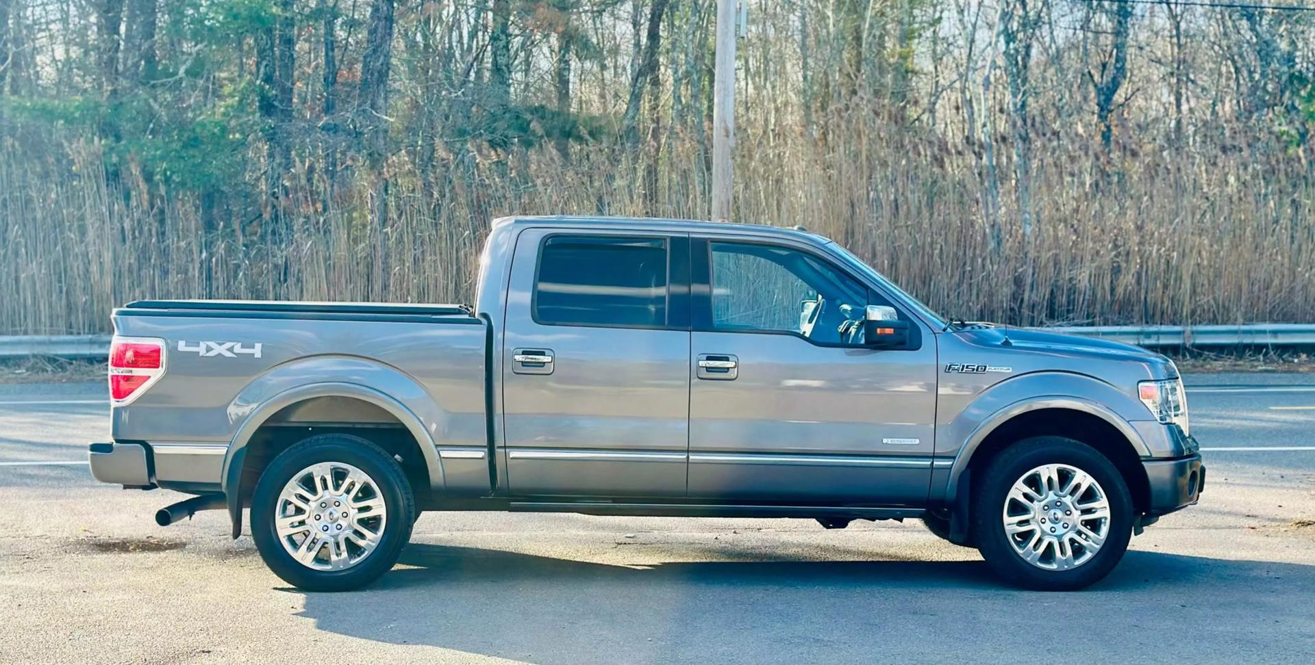 2014 Ford F-150 Platinum photo 11