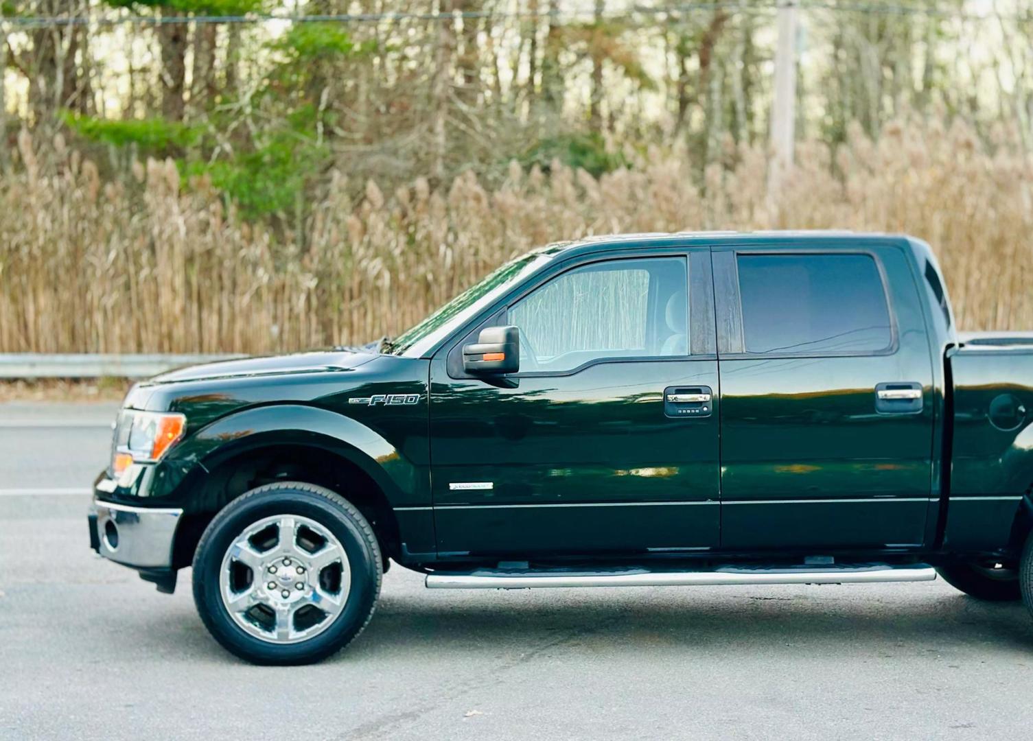 2014 Ford F-150 XL photo 9