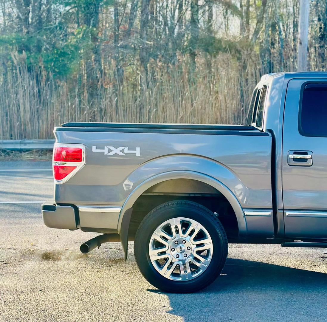 2014 Ford F-150 Platinum photo 13