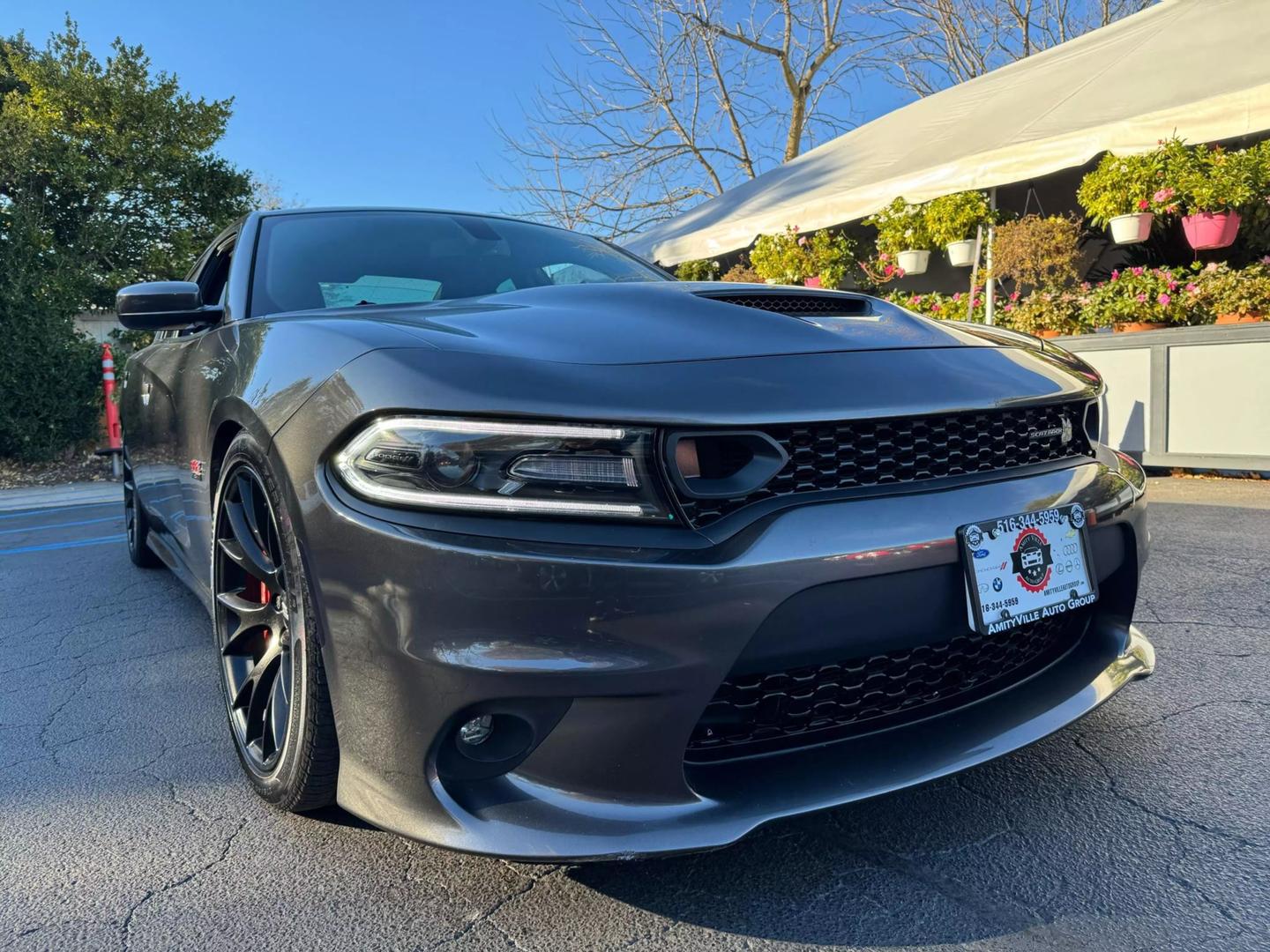 Dodge Charger's photo