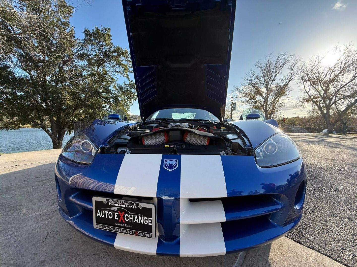 2006 Dodge Viper - Image 15