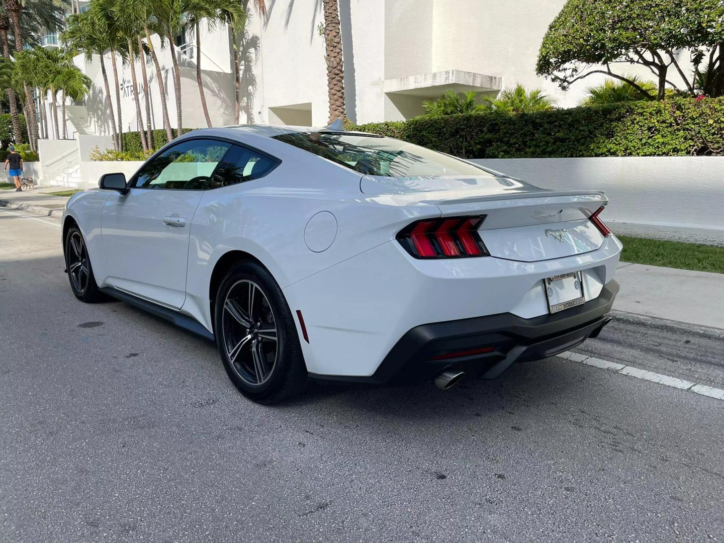 2024 Ford Mustang EcoBoost Premium photo 3