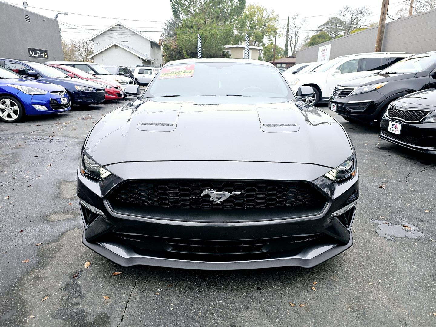 2020 Ford Mustang GT Premium photo 2