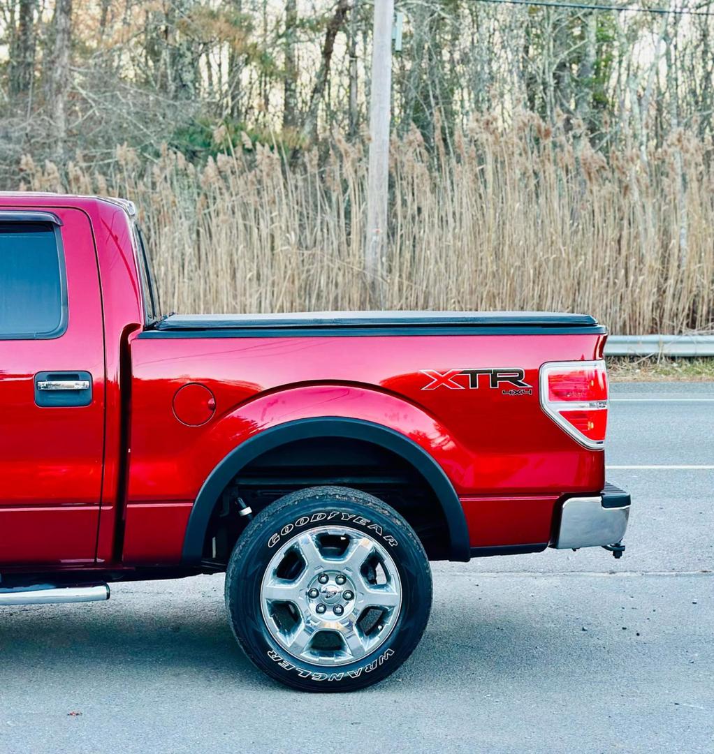 2014 Ford F-150 STX photo 10