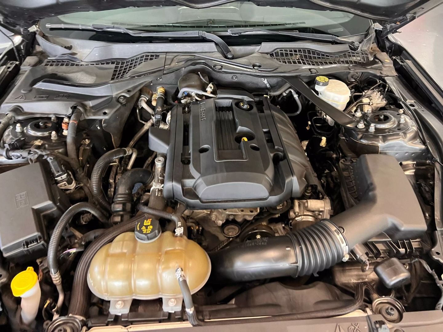 2019 Ford Mustang Ecoboost Premium Convertible 2d - Image 28