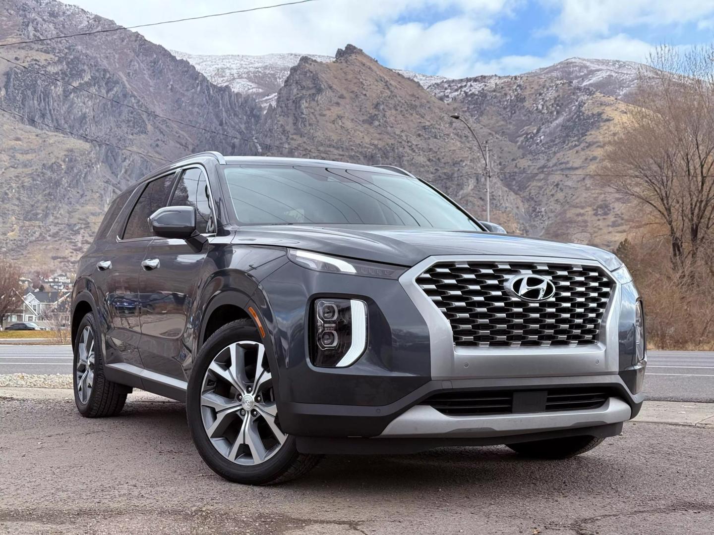 Hyundai Palisade's photo