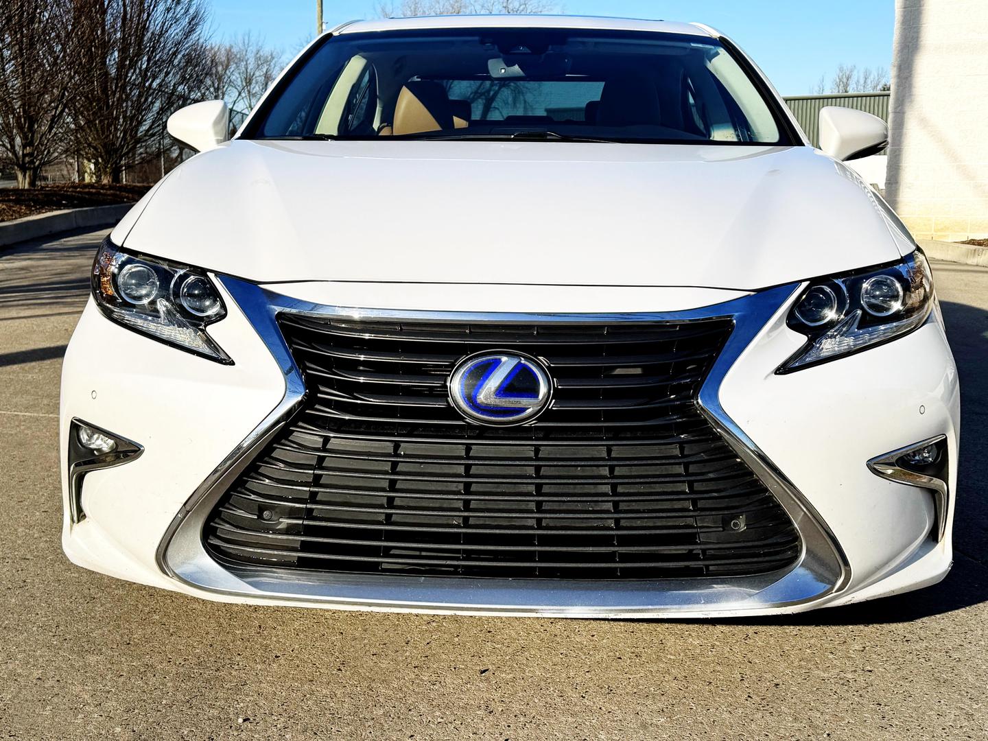 2016 Lexus ES 300h photo 9