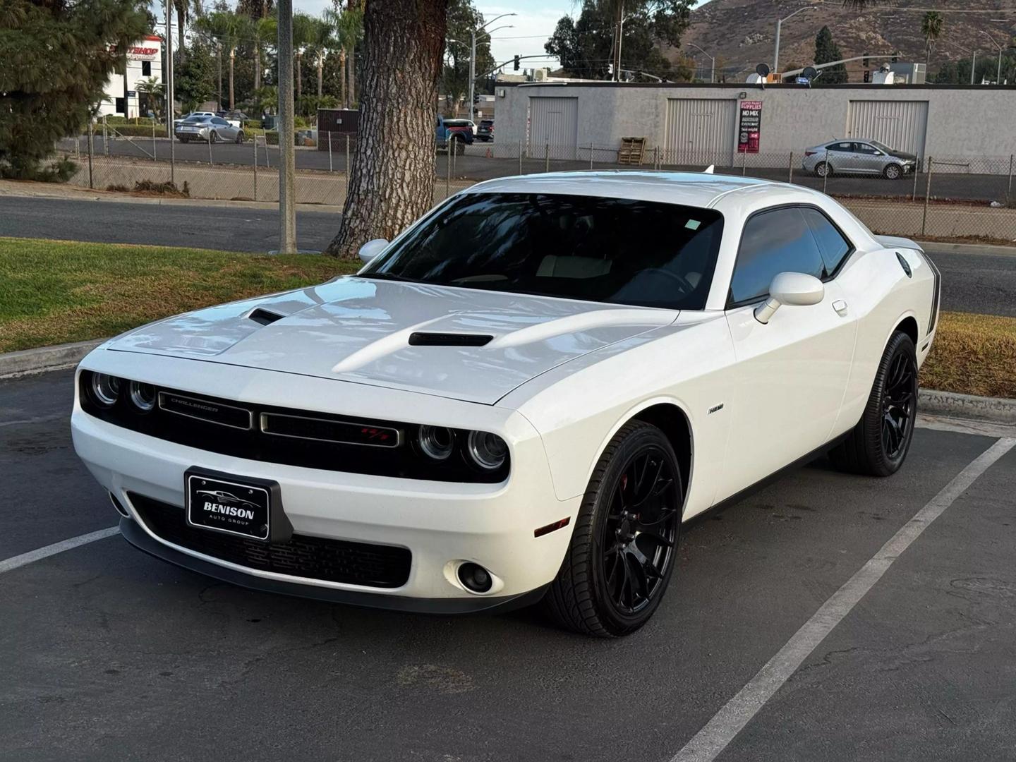 Dodge Challenger's photo