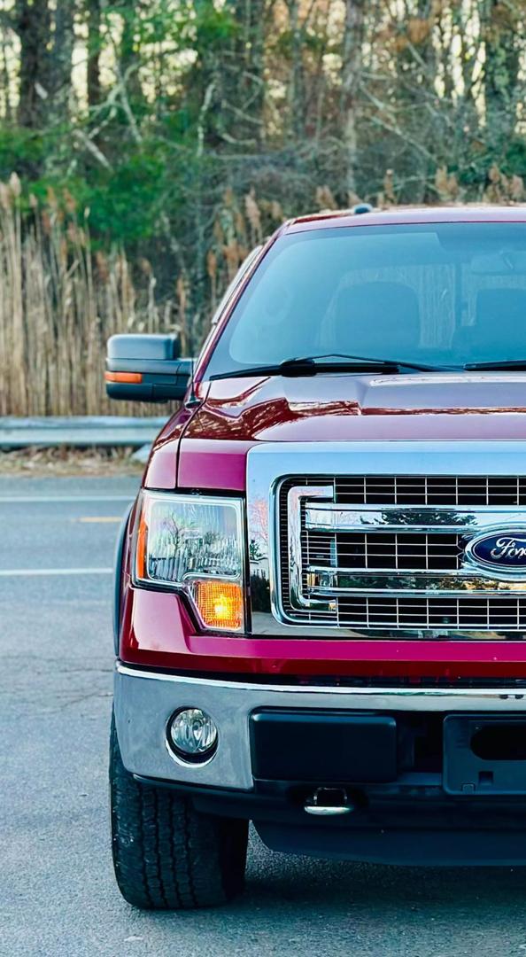 2014 Ford F-150 STX photo 4