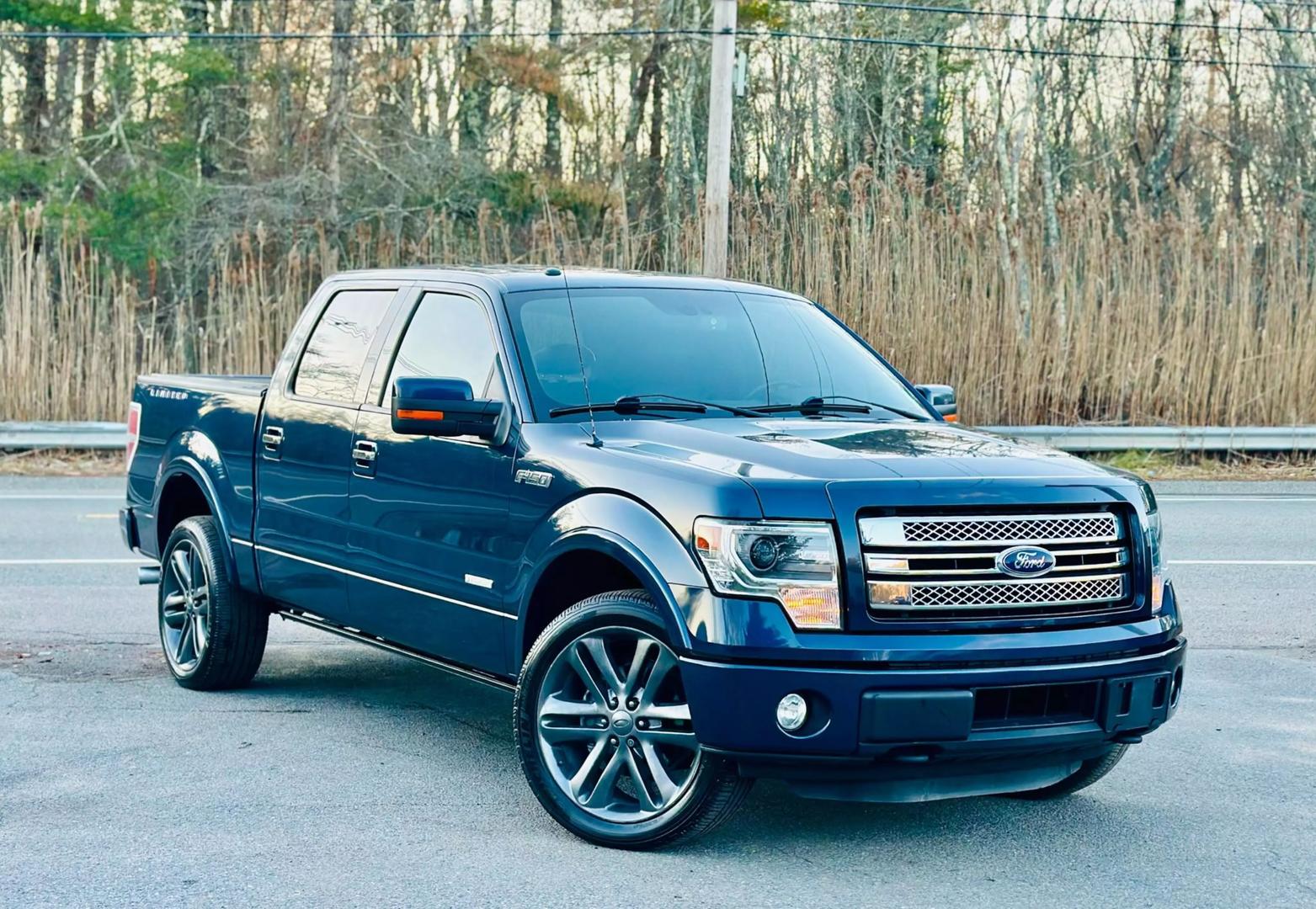 2014 Ford F-150 XL photo 3