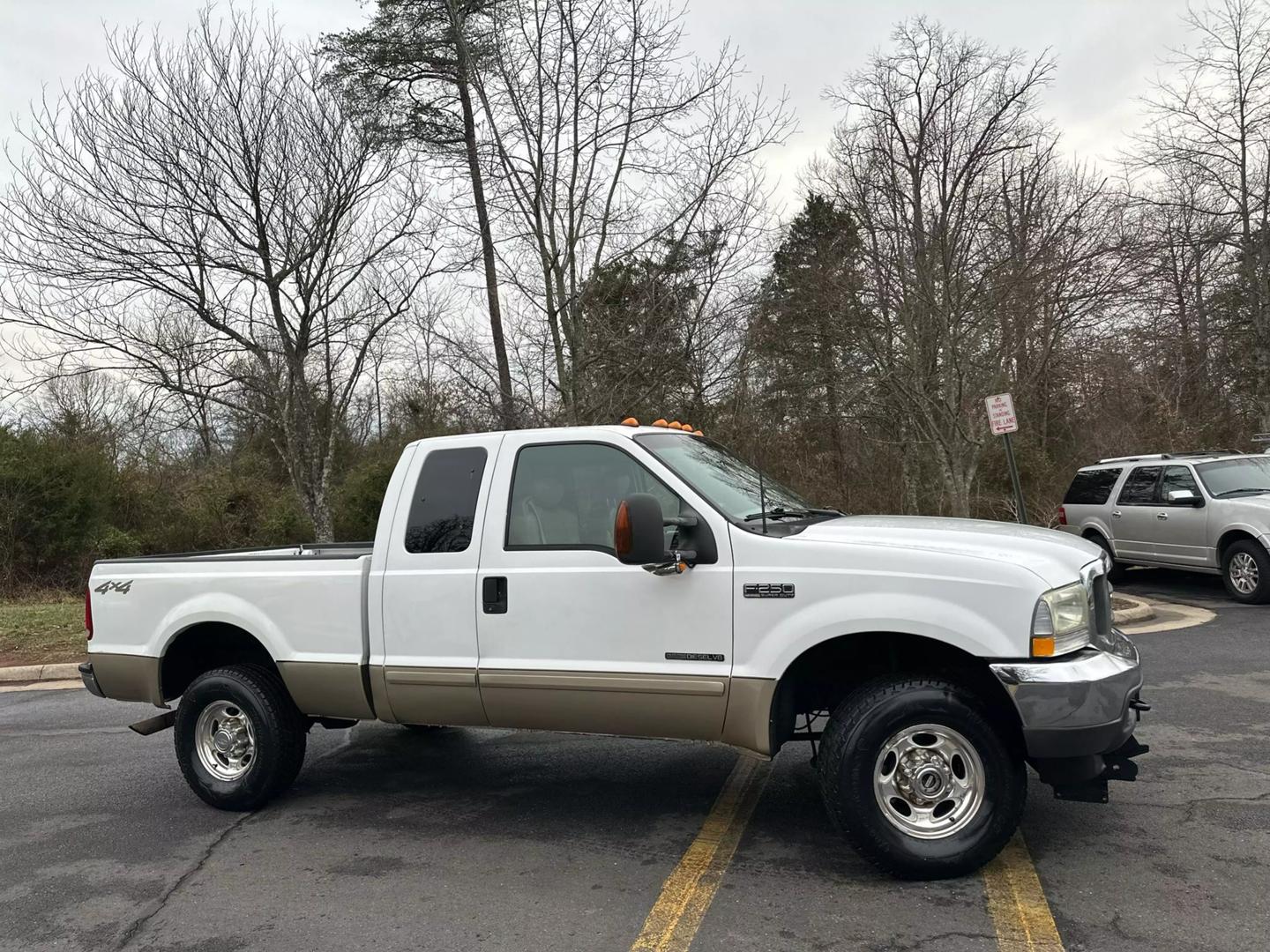 2002 Ford F-250 Super Duty null photo 3