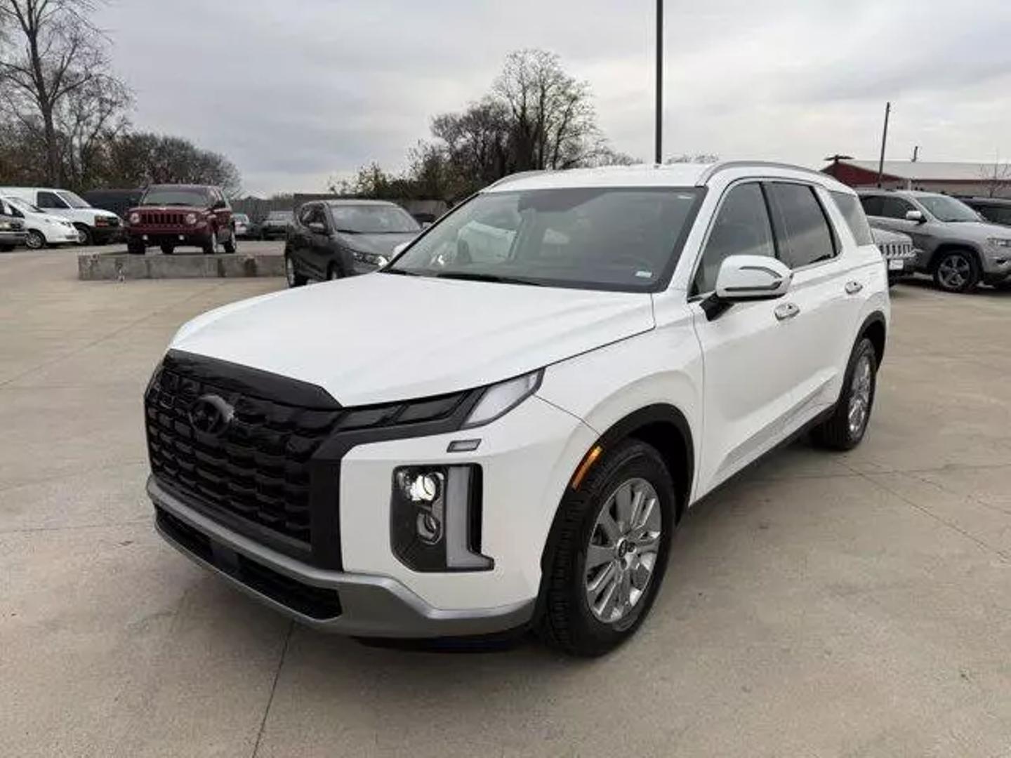 Hyundai Palisade's photo