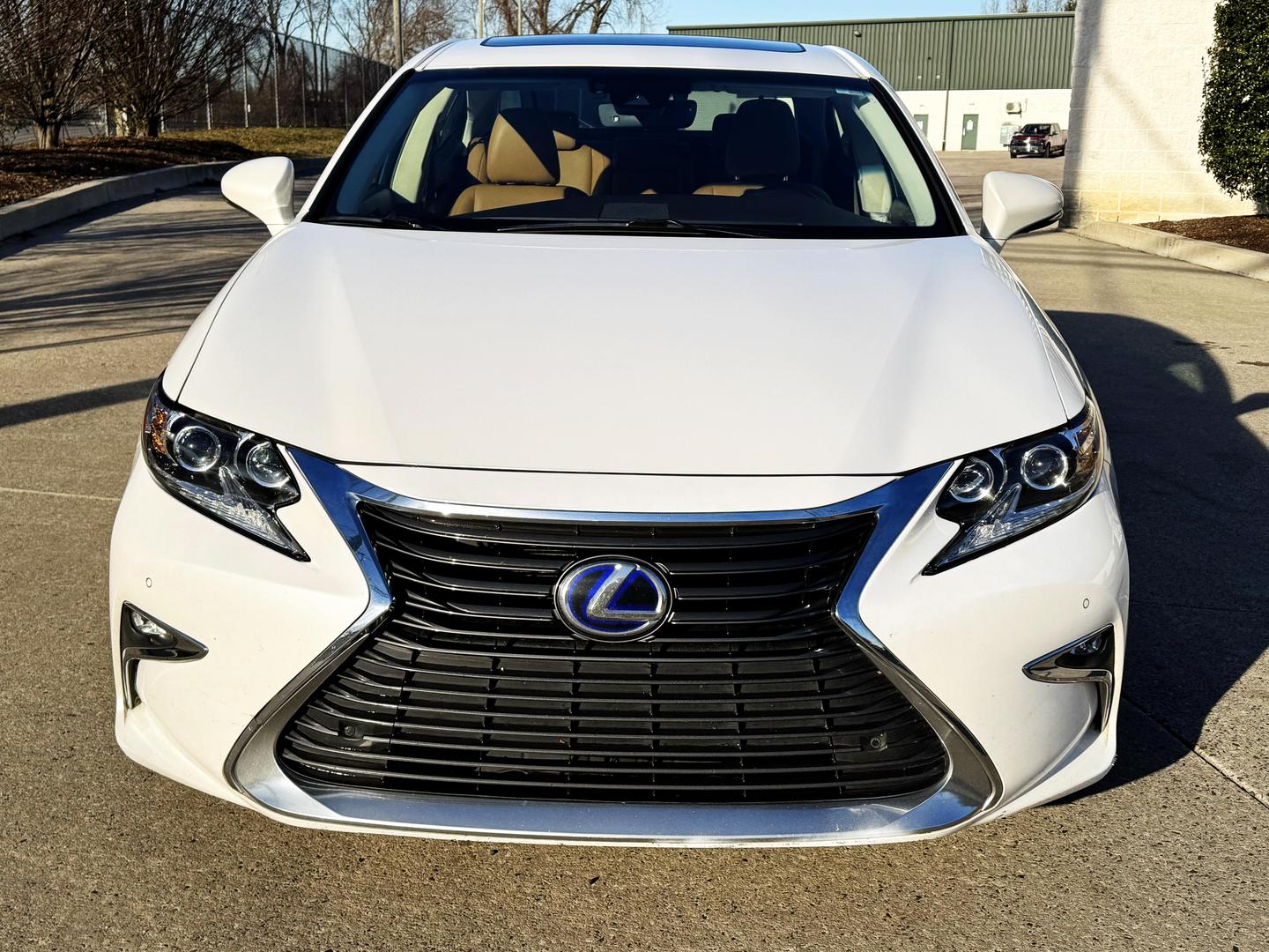 2016 Lexus ES 300h photo 8