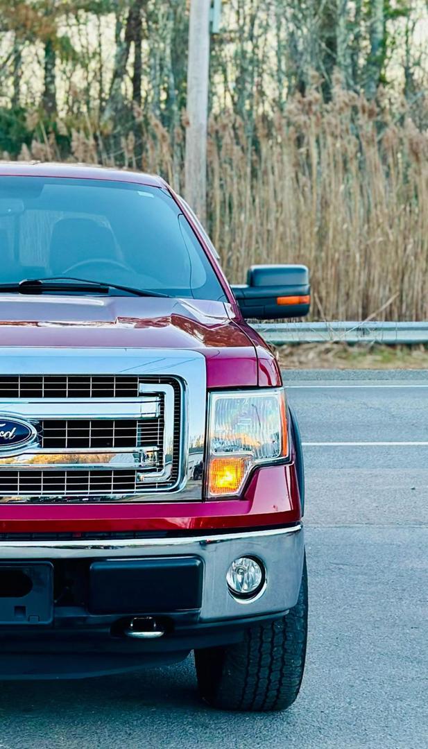 2014 Ford F-150 STX photo 5