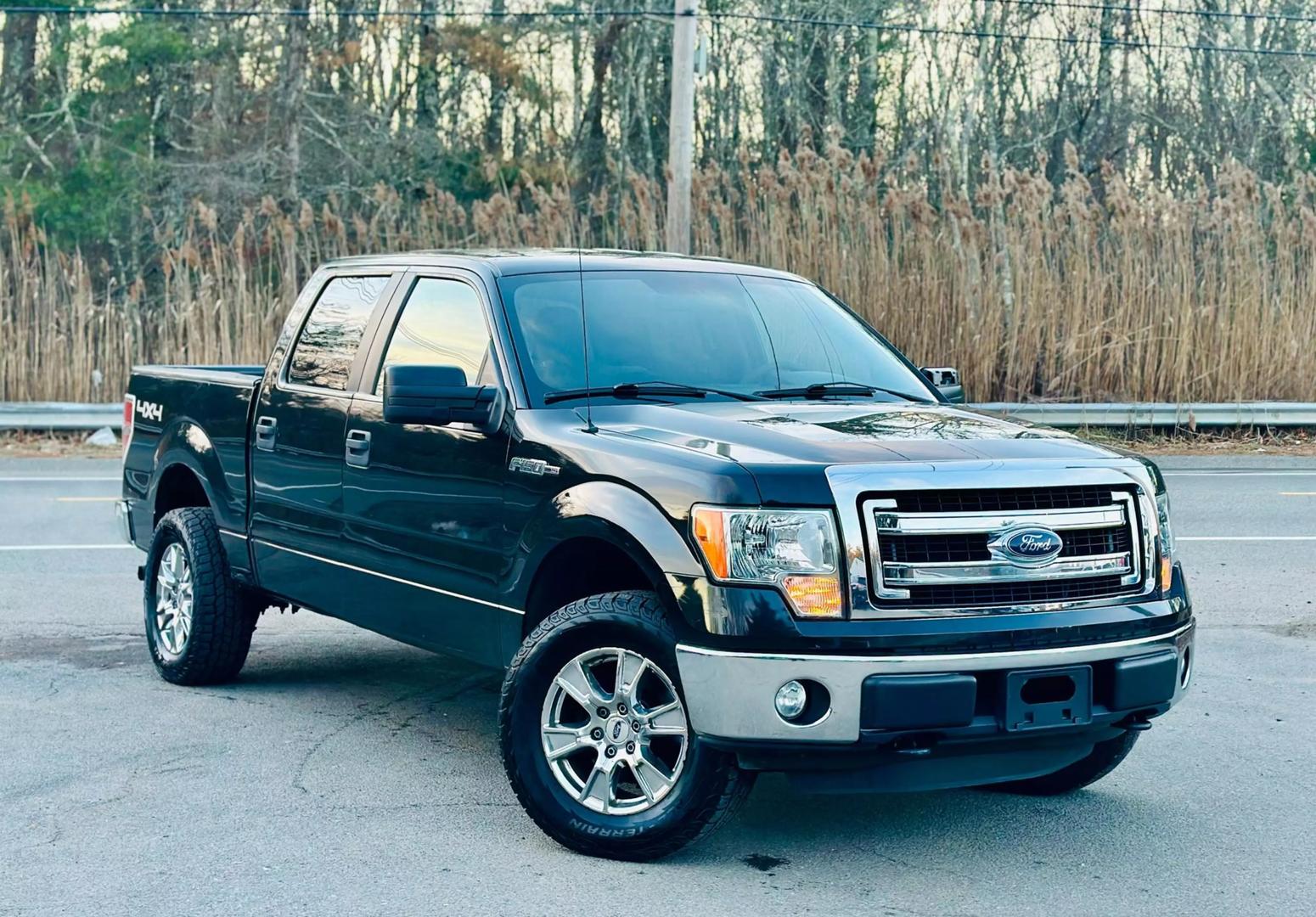 2014 Ford F-150 STX photo 3