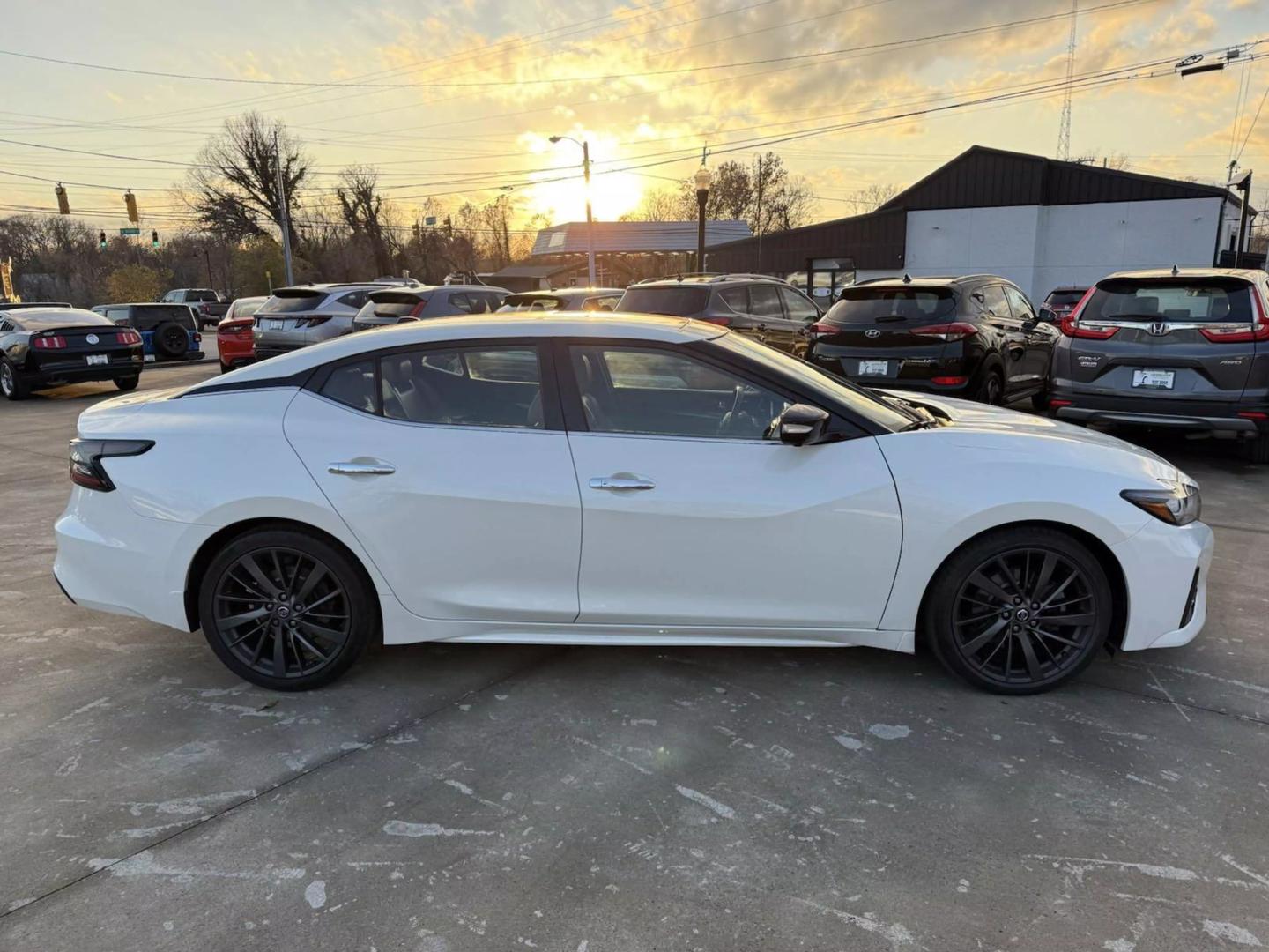 2019 Nissan Maxima Platinum photo 6