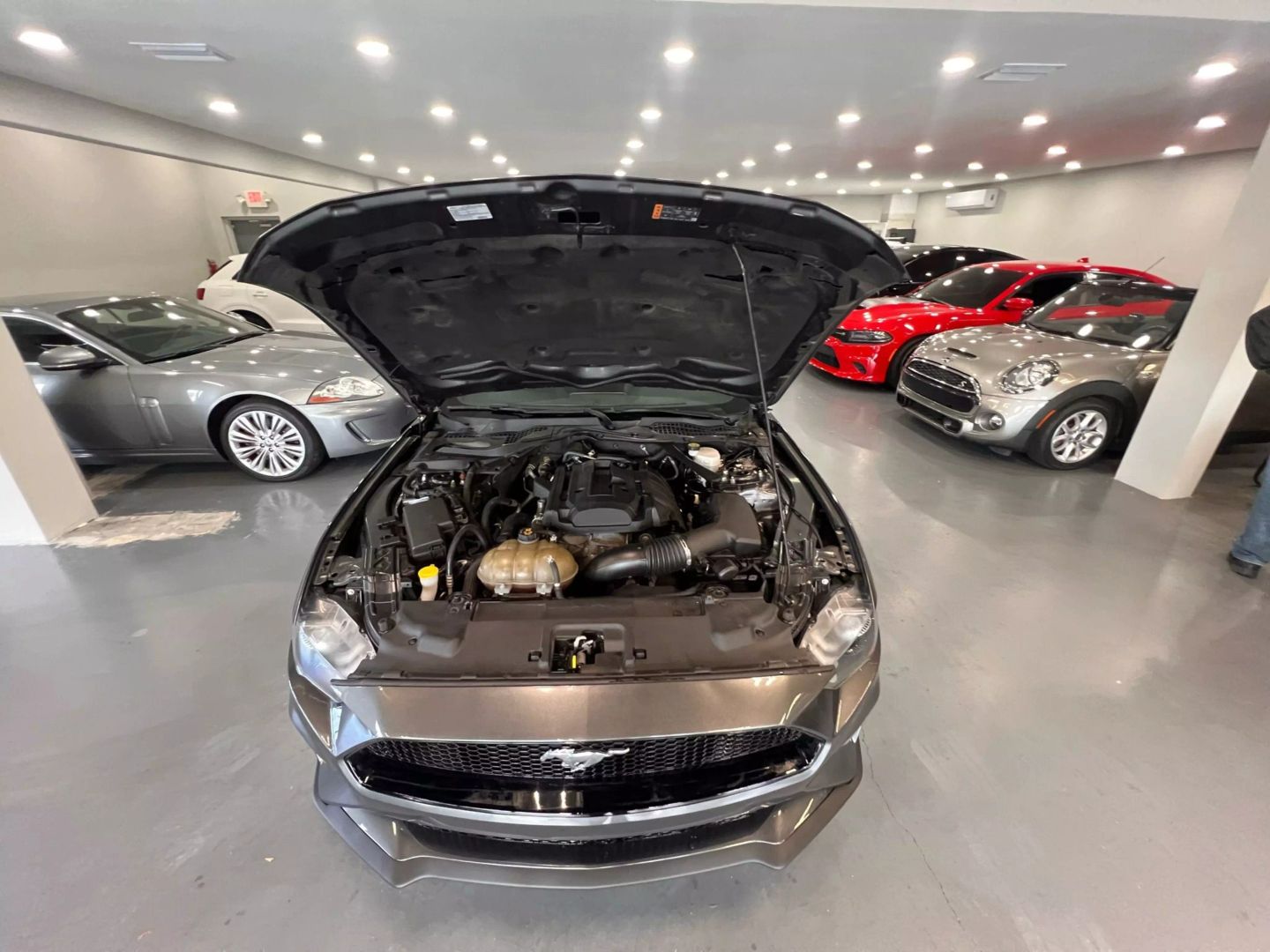 2019 Ford Mustang Ecoboost Premium Convertible 2d - Image 27