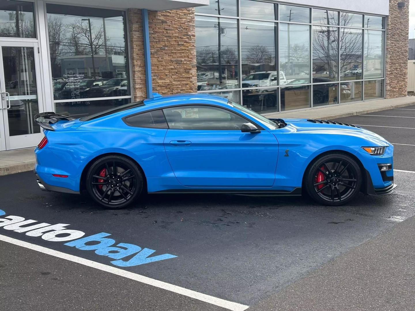 2022 Ford Mustang Shelby GT500 photo 28