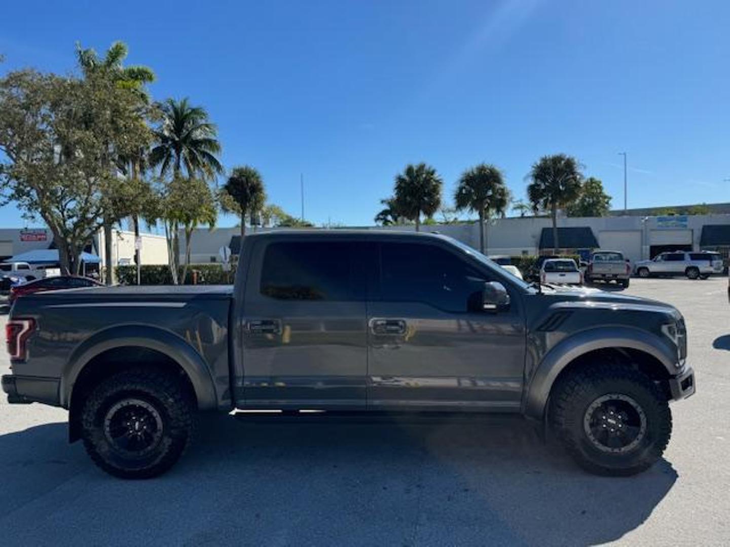 2018 Ford F-150 Raptor photo 6