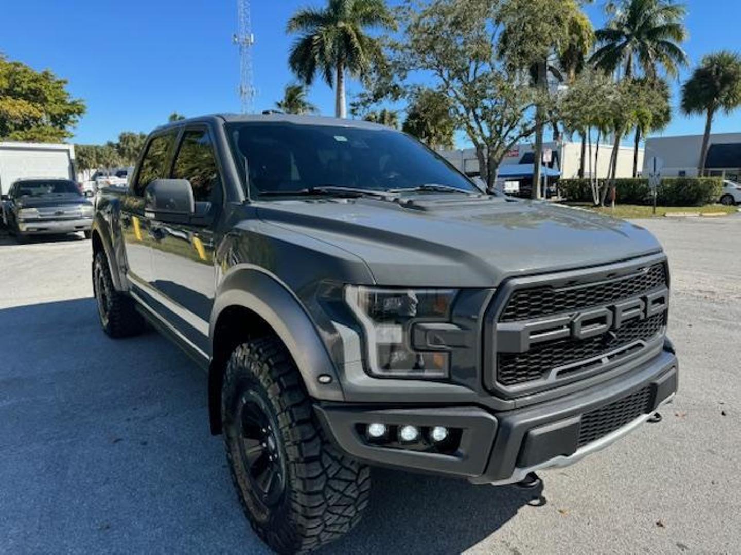 2018 Ford F-150 Raptor photo 3