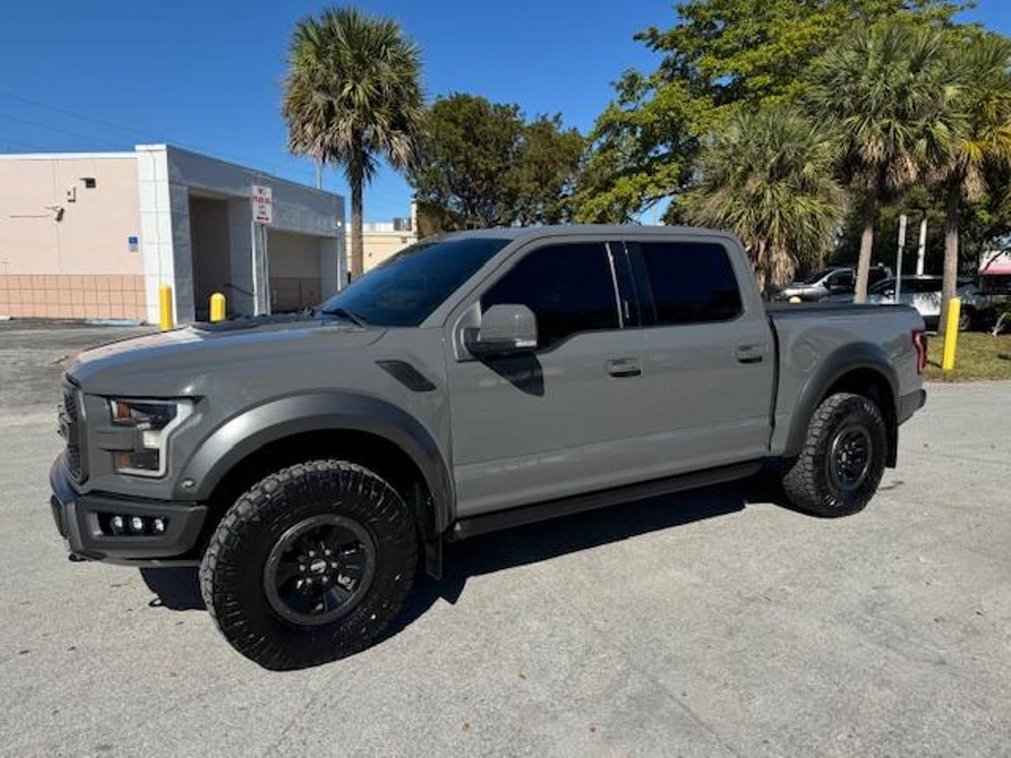 2018 Ford F-150 Raptor photo 15