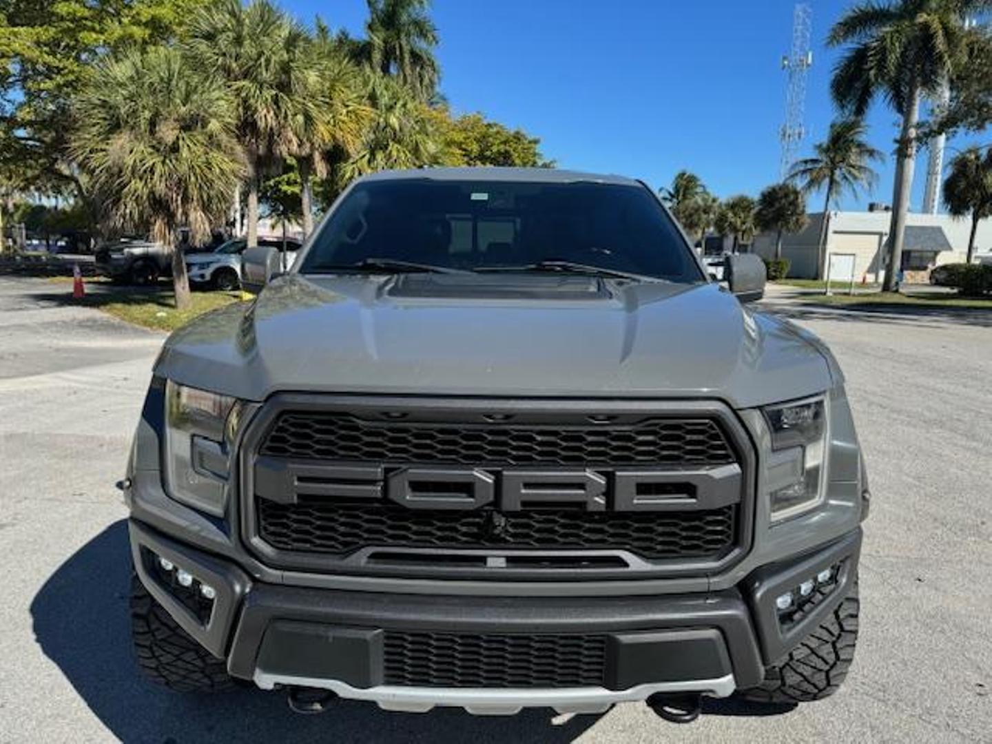 2018 Ford F-150 Raptor photo 2