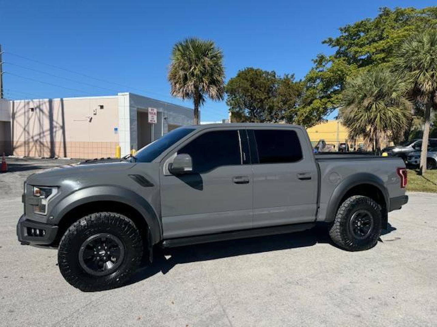 2018 Ford F-150 Raptor photo 14