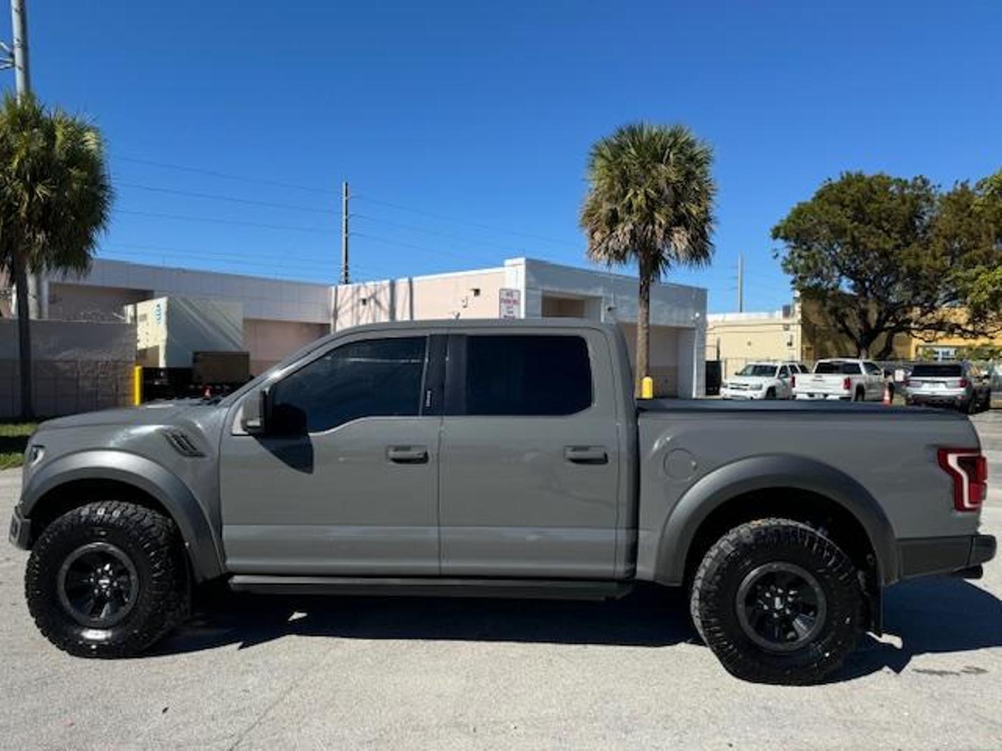 2018 Ford F-150 Raptor photo 13