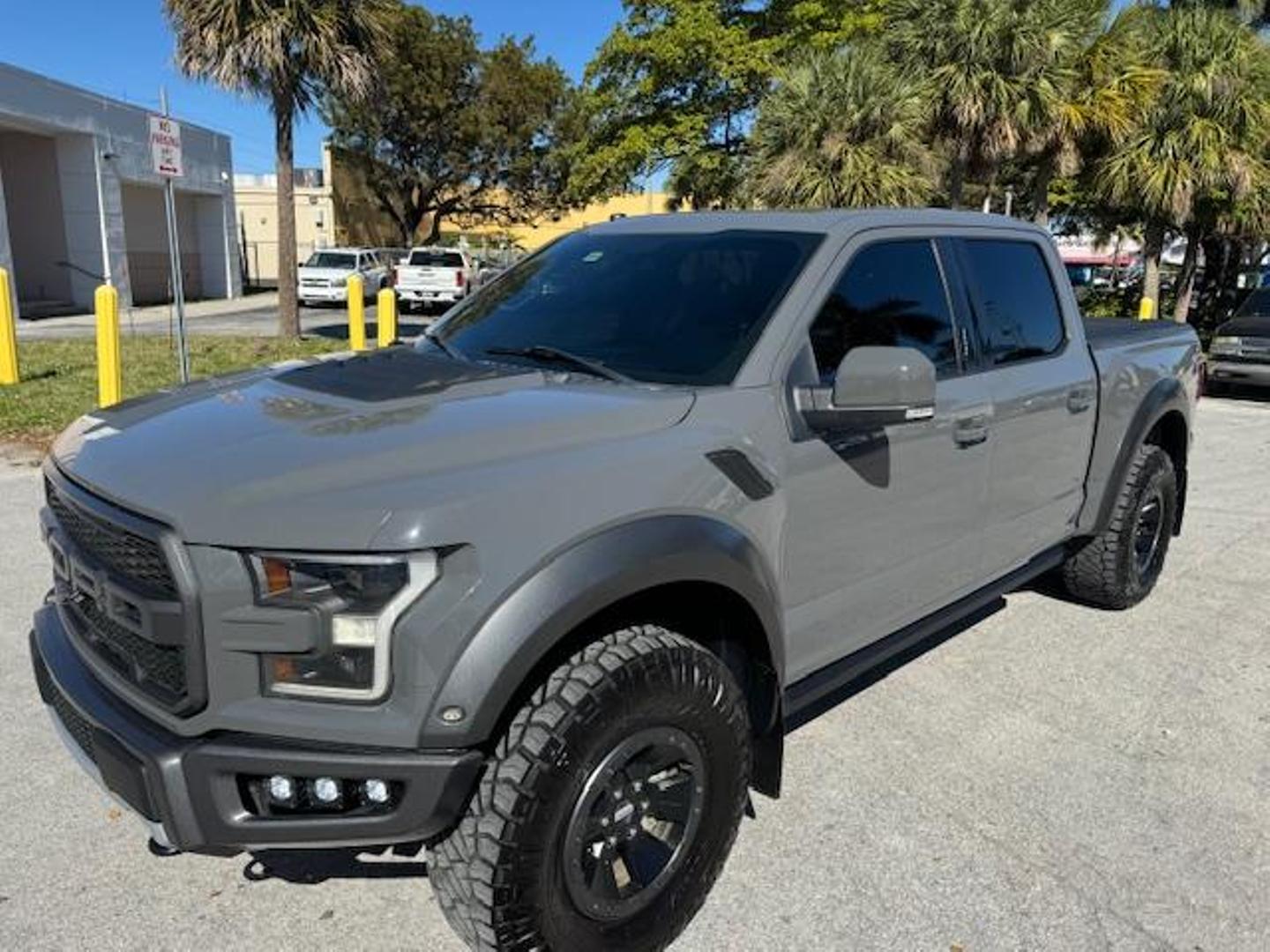 2018 Ford F-150 Raptor photo 16