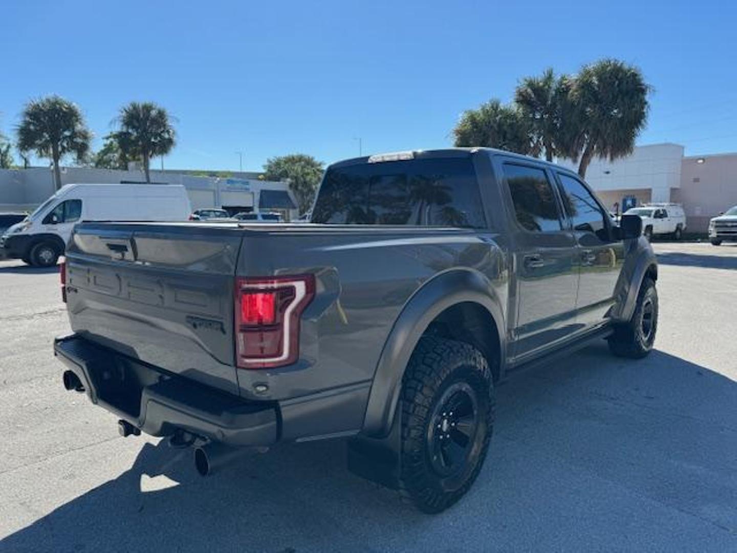 2018 Ford F-150 Raptor photo 8