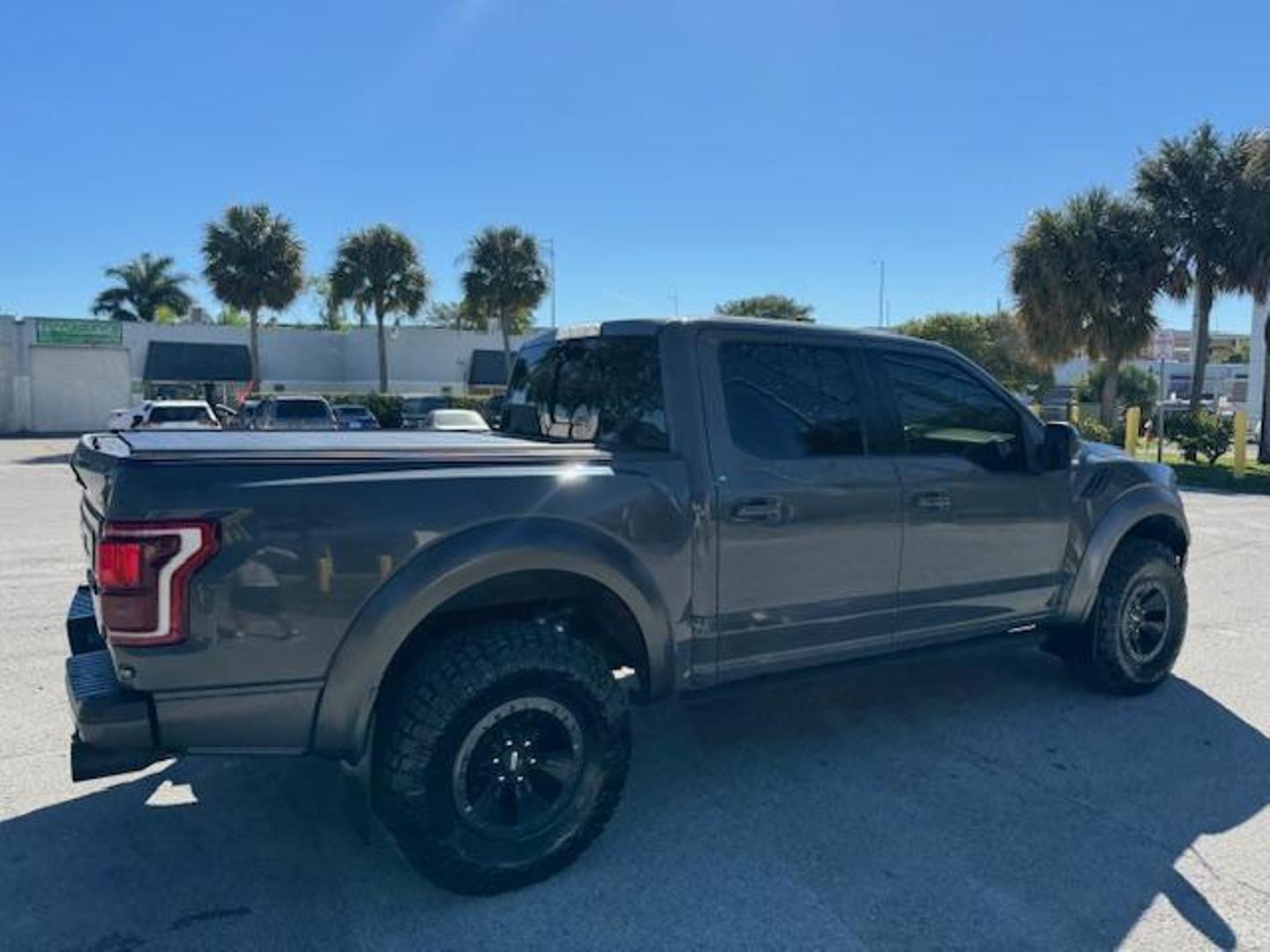 2018 Ford F-150 Raptor photo 7