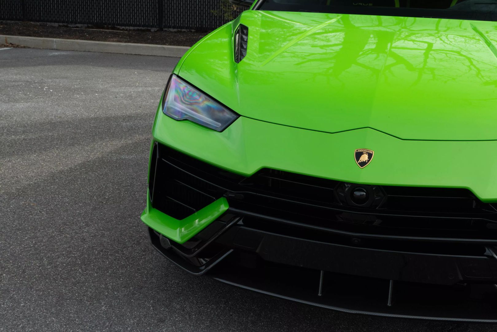 2023 Lamborghini Urus - Image 6