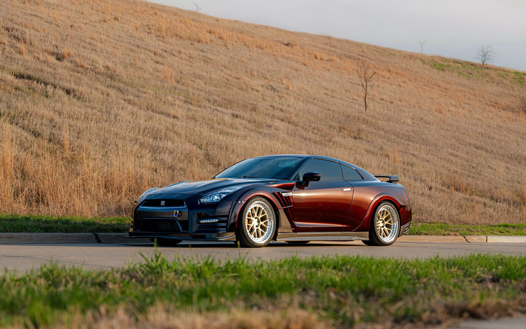2014 Nissan Gt-r - Image 65