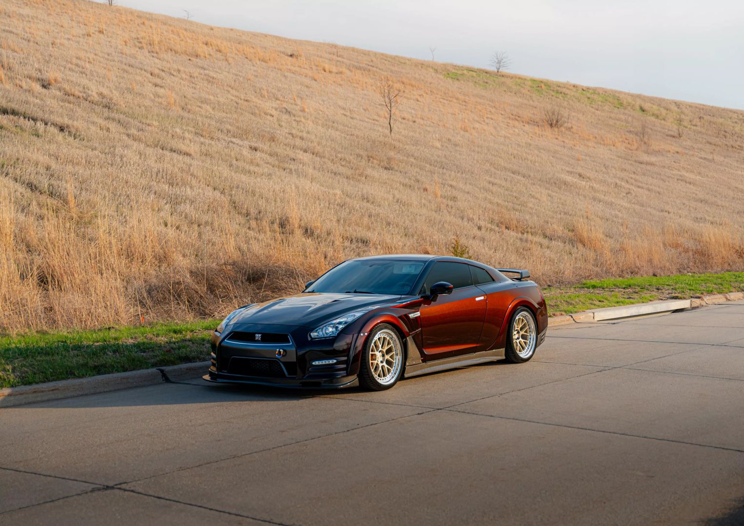 2014 Nissan Gt-r - Image 66