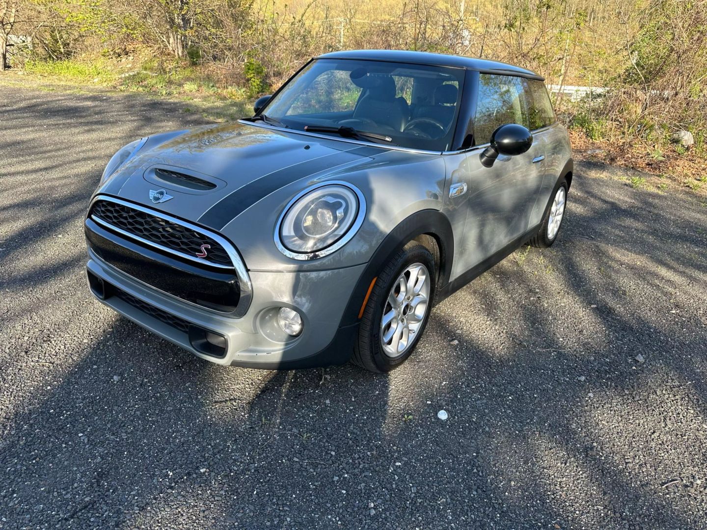 2014 MINI Cooper S's photo